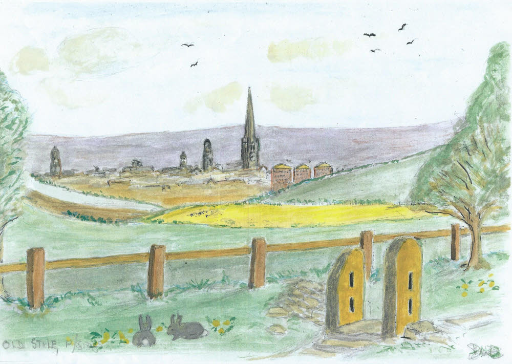 Wakefield from Palesides